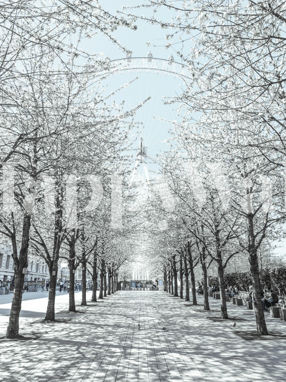 Majestic Millennium Wheel tapet i et rum