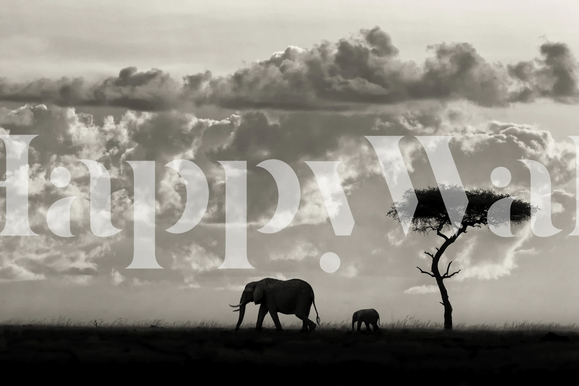 Svart-hvitt veggmaleri med elefantsilhuetter på den afrikanske savannen under en dramatisk himmel