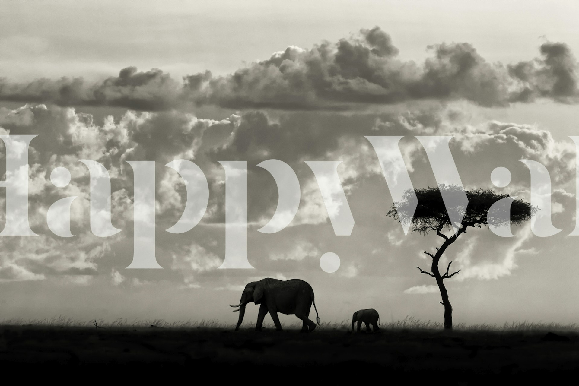 Elephant silhouette walking under a tree against cloudy sky wallpaper