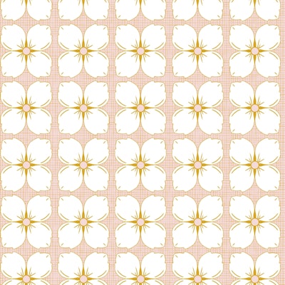 Modello