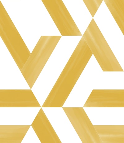 Patroon
