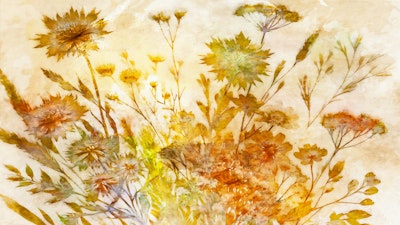 Mural