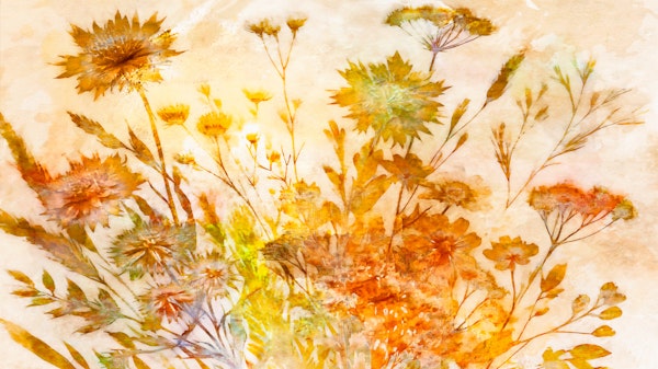 Autumn Flora Delight