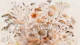 Chic Dried Blossoms