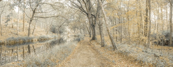 Autumn Canal