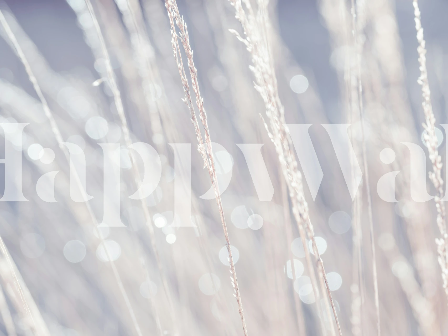Delicate grass bokeh in soft white tones wallpaper