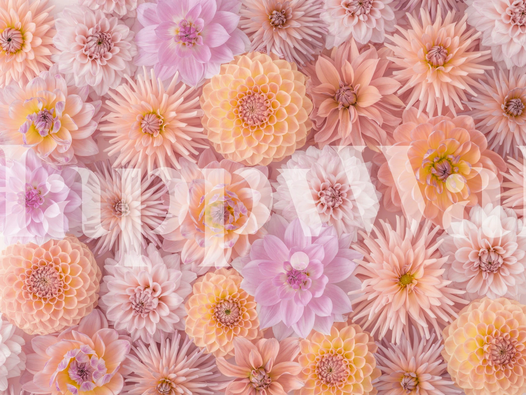 Various pink floral patterns on a light background wallpaper
