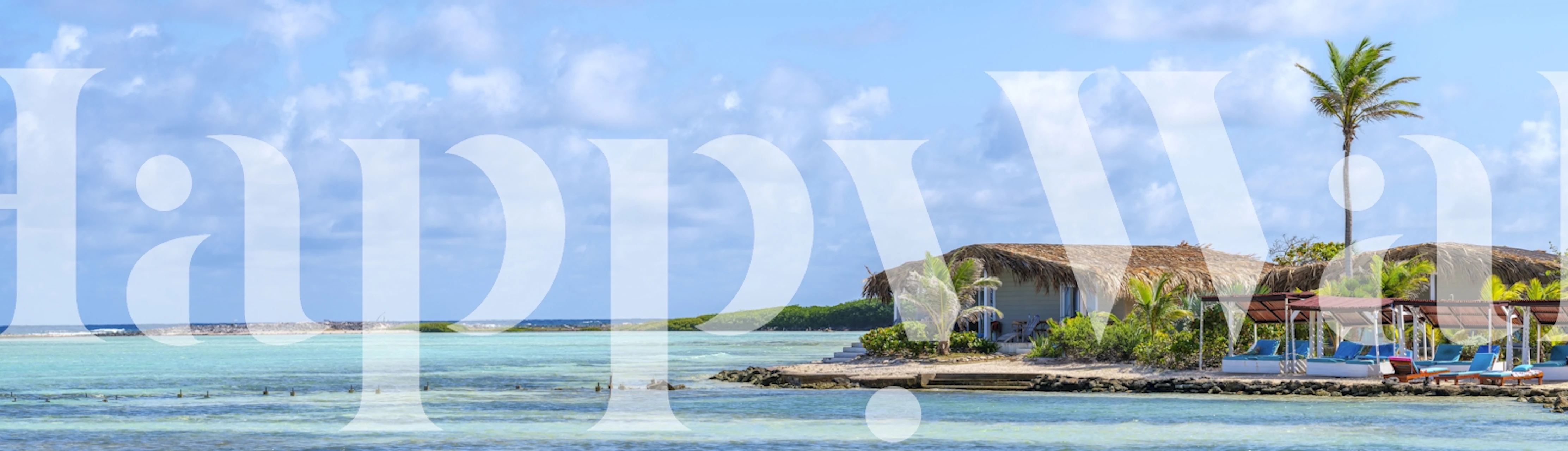 Bonaire Coast wallpaper in a stylish room