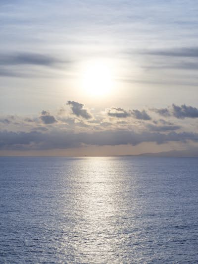 Τοιχογραφία