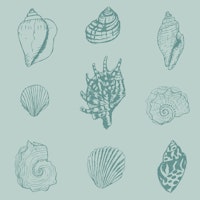 Seashell Serenade - pastel blue 2 ταπετσαρία