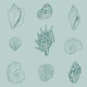 Seashell Serenade - pastel blue 2