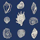 Seashell Serenade - navy blue