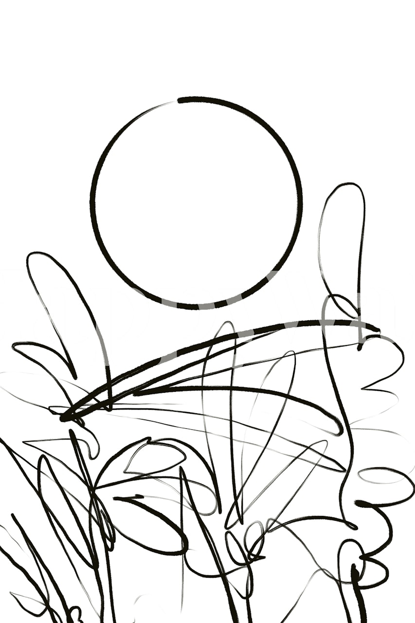 Abstract black and white botanical line art wallpaper