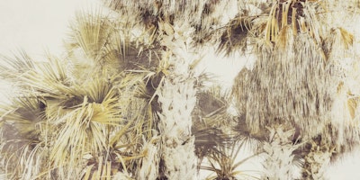 Mural