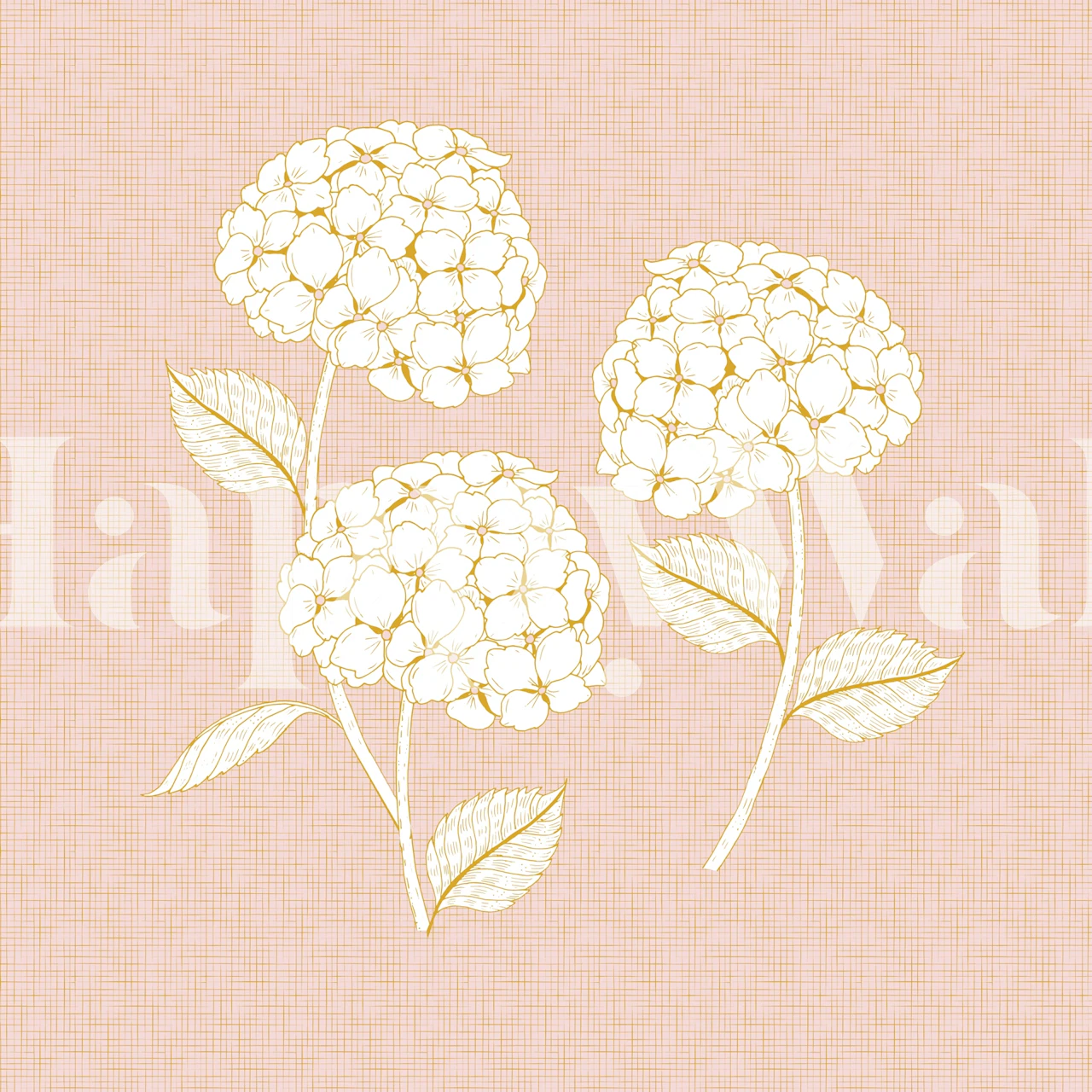 Three white floral hydrangeas with leaves on a pink background wallpaper