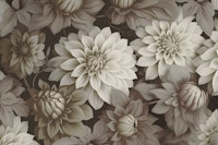 Classic Dahlia Ivory Elegance wallpaper