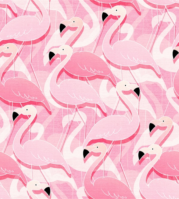 Hot Pink Flamingo Flamboyance