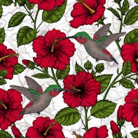 Hibiscus and hummingbirds tapete