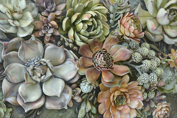 Botanical Succulents Vertical Garden