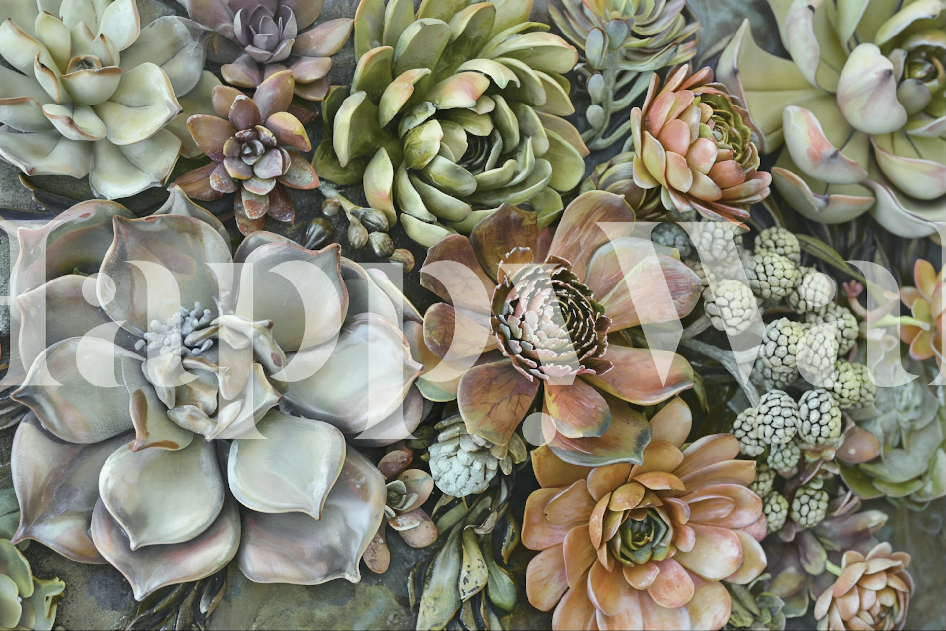 Tapeta Botanical Succulents Vertical Garden