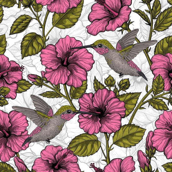 Hibiscus and hummingbirds 2