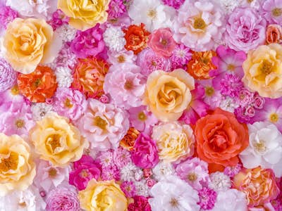 Τοιχογραφία