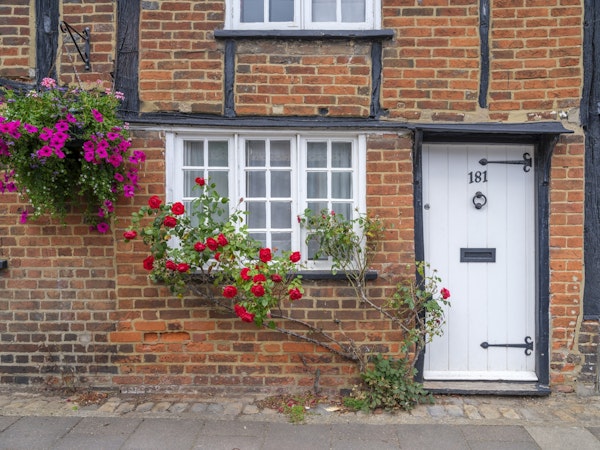 Blooming Facade Decor