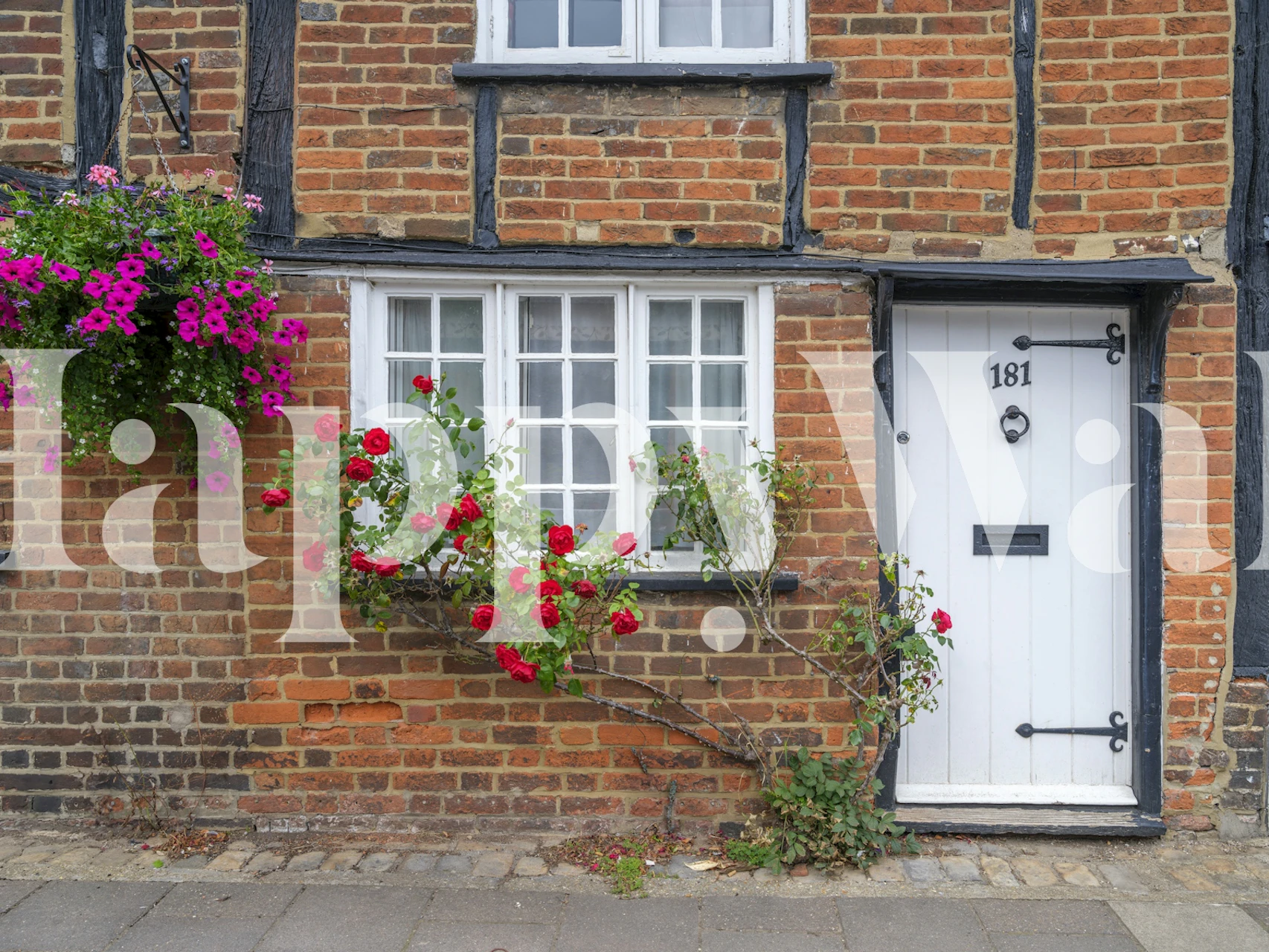 Blooming facade decor affiché dans une pièce