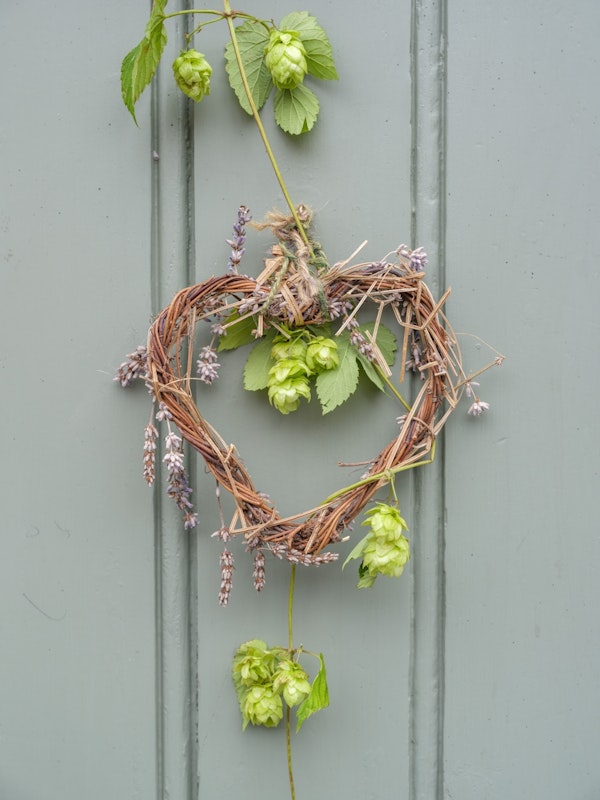 Hop Vine Heart Decor