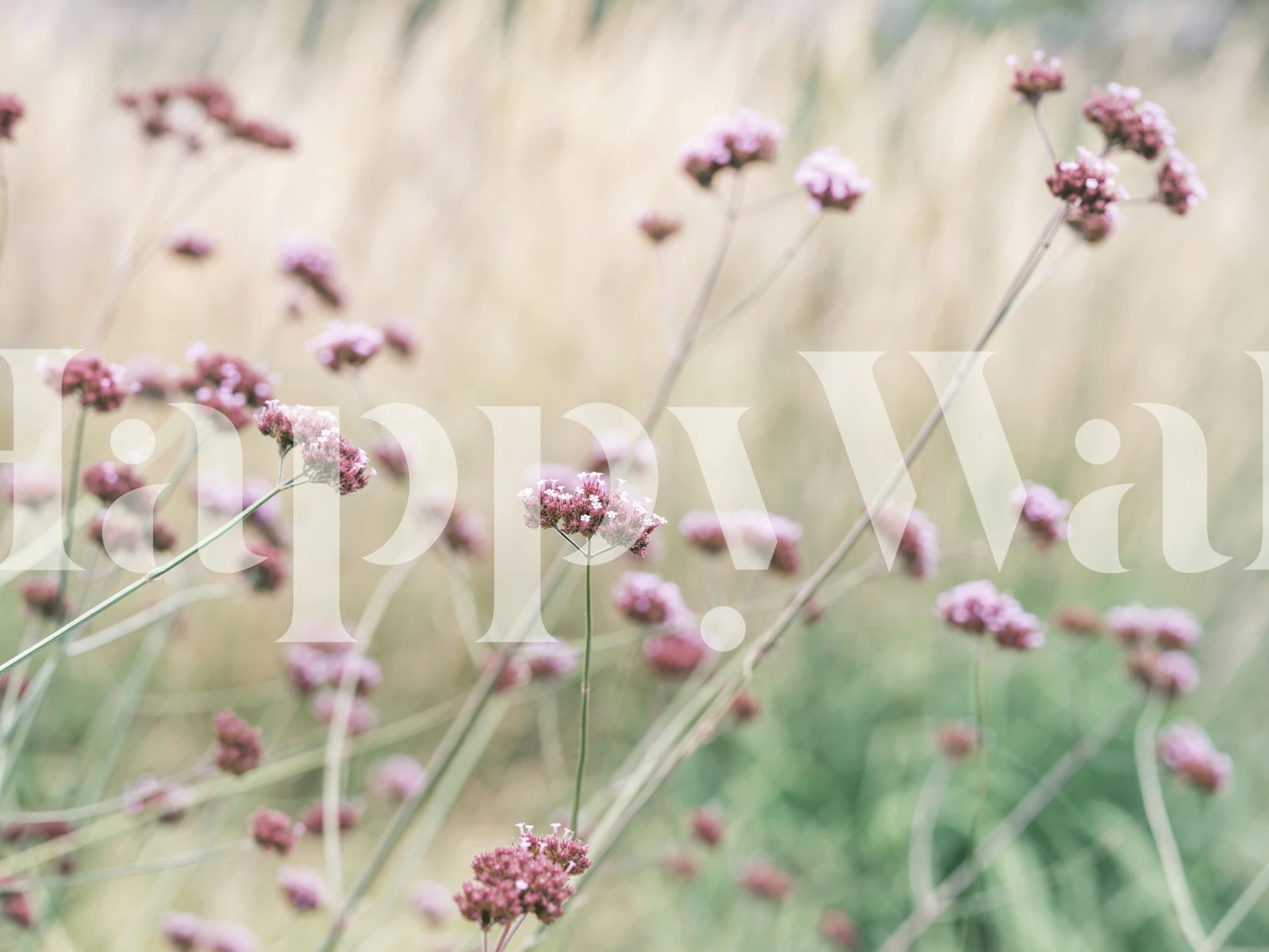 Soft Pink Field Bliss i ett rum