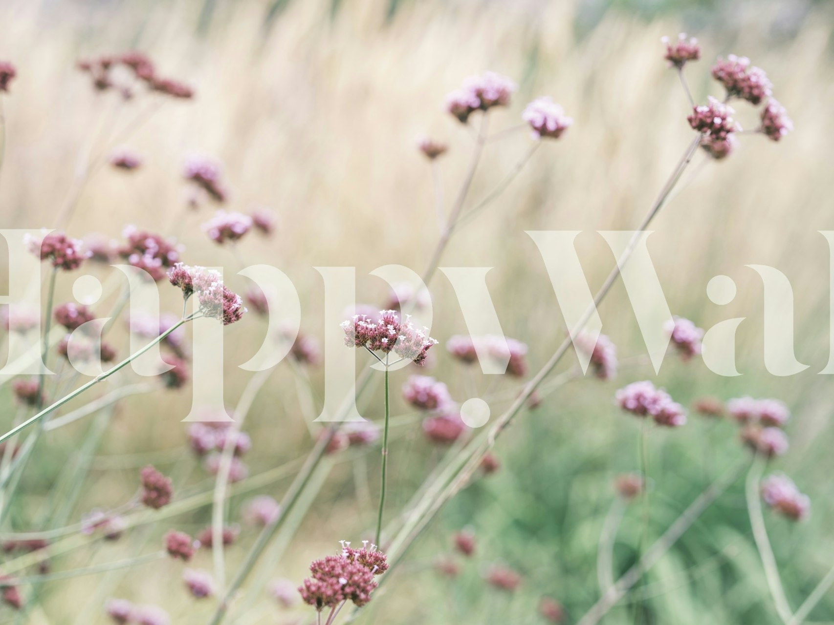Soft Pink Field Bliss dans une pièce