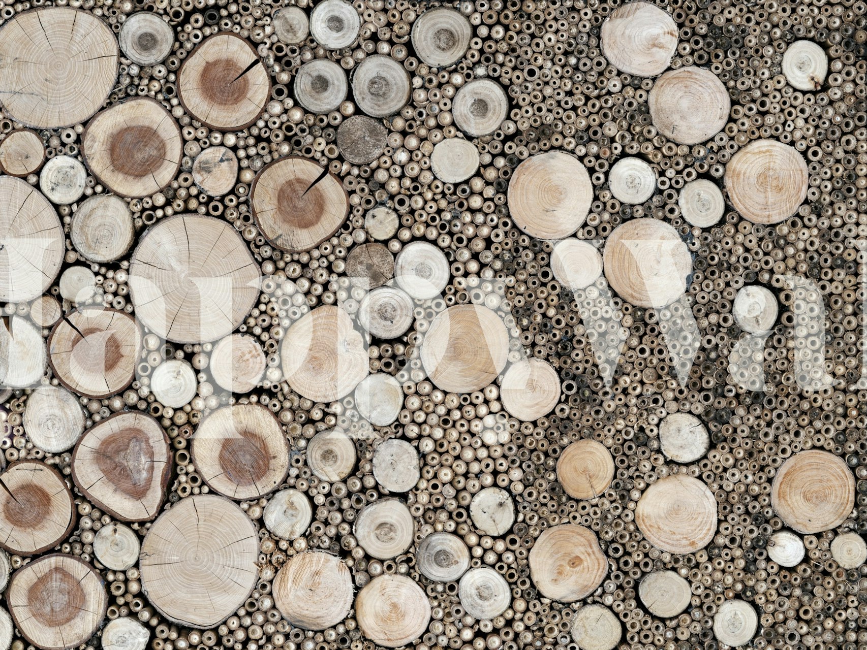 Natural wood circular pattern in beige and brown wallpaper