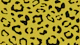 Abstract Safari Chic