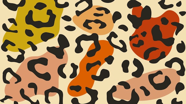 Fall Color Safari Spots