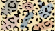 Modern Jungle Flair