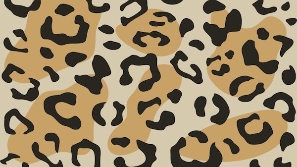 Chic Leopard Fantasy