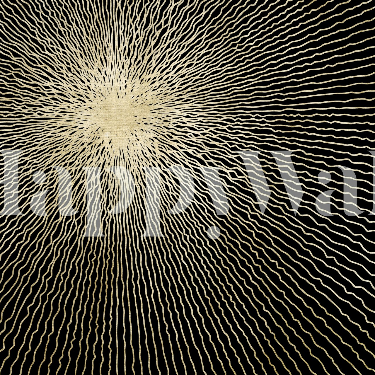 Black background with golden sunburst pattern wallpaper