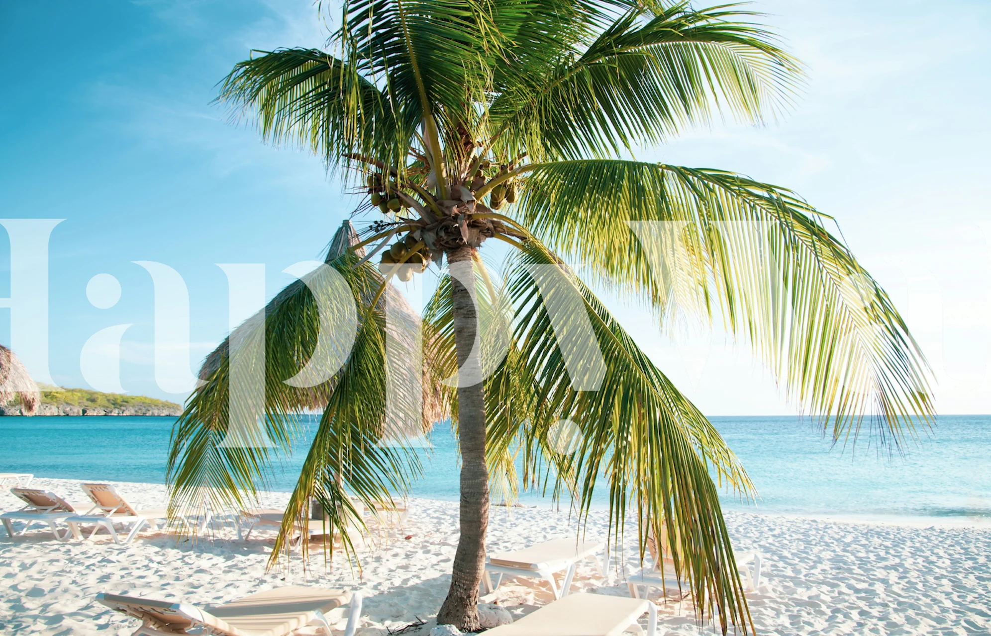 Tropical palm trees against a blue ocean and sky wallpaper