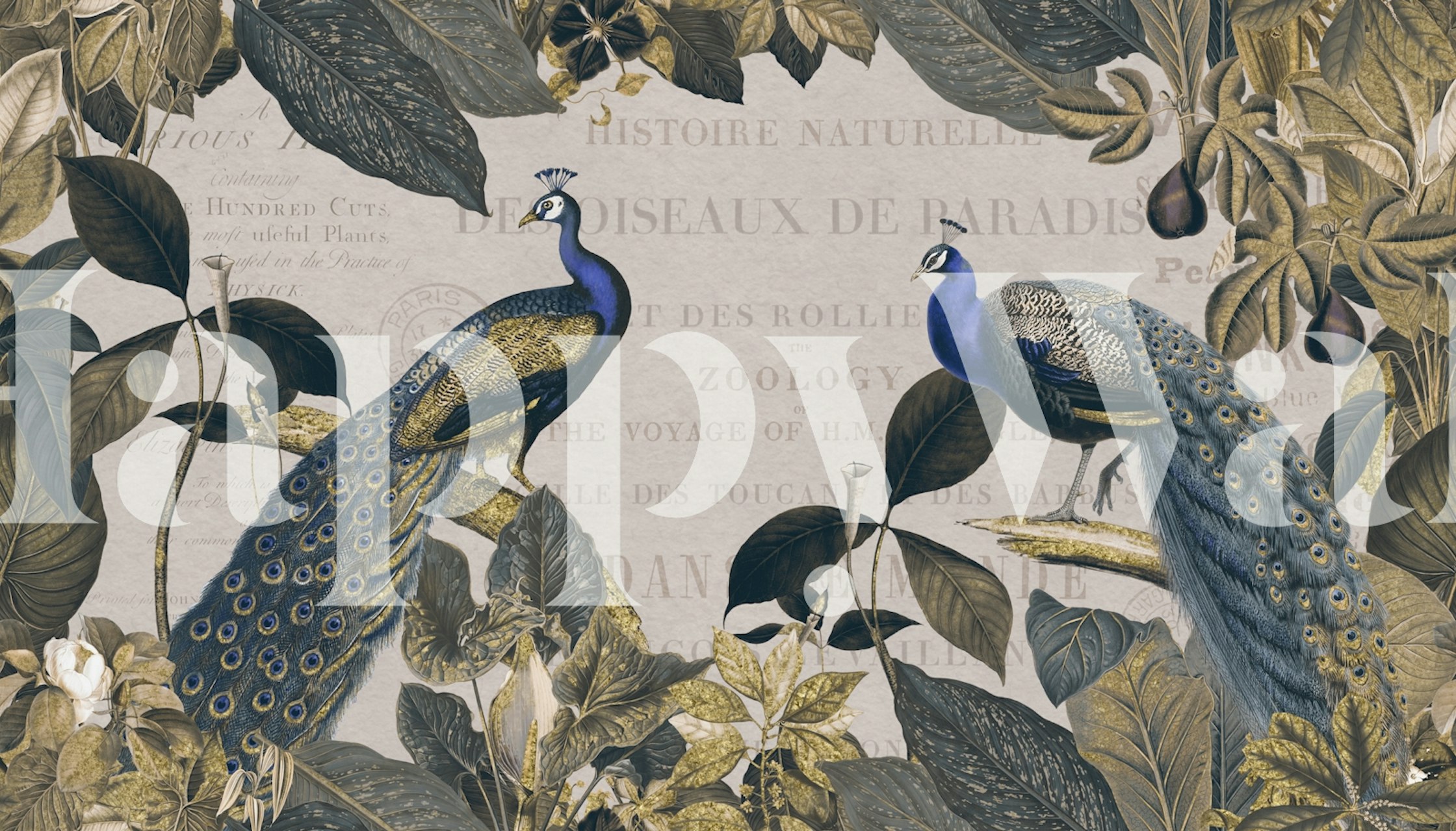 Vintage Botanical Peacock behangontwerp