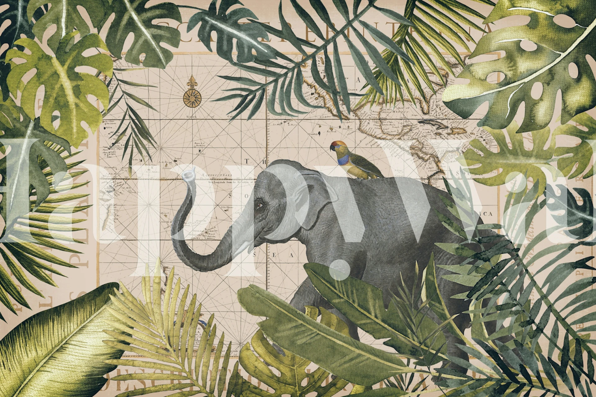 Elephants Tropical Expedition behang in een kamer