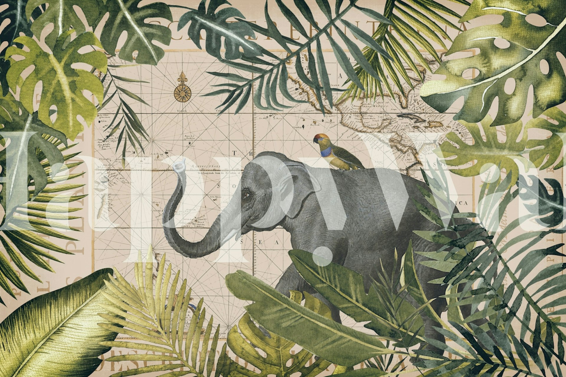 Elephants Tropical Expedition behang in een kamer