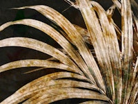 Vintage Palm Canvas papel de parede