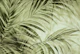 Botanical Breeze Calm Foliage