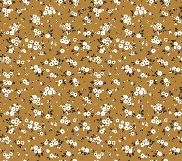 Golden Daisy Delight