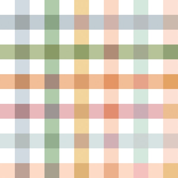 Gingham Rustic Countryside Cottagecore