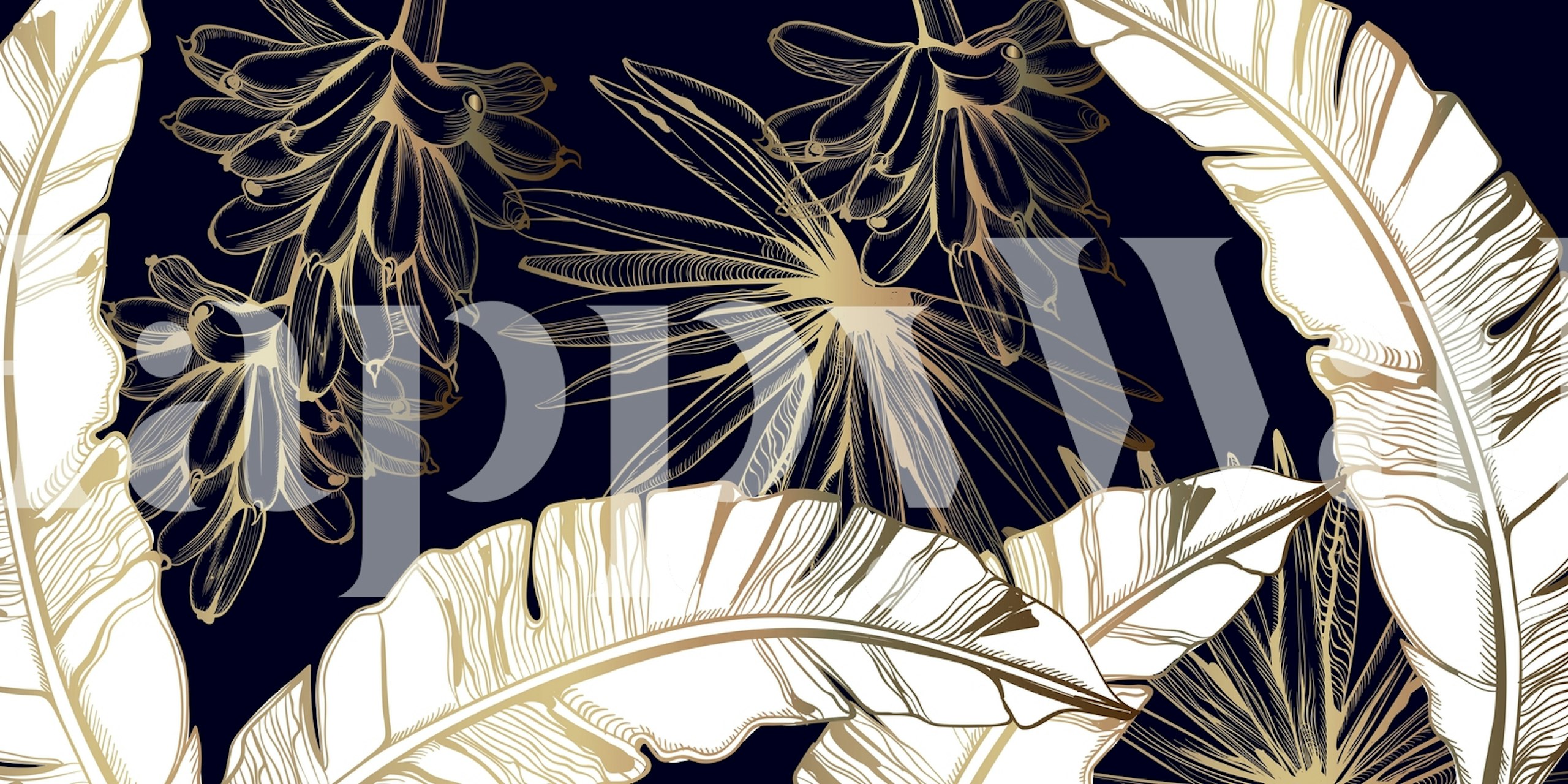 Madagascar wallpaper featuring tropical plants