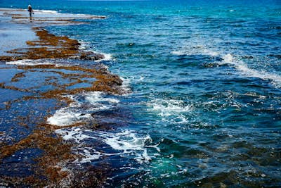 Τοιχογραφία