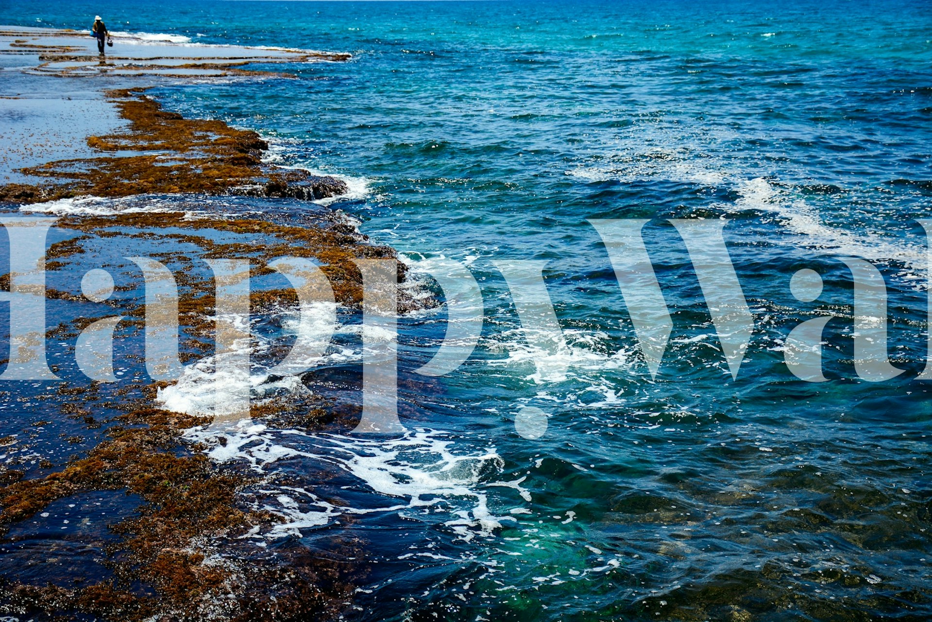 Sdot Yam beach #5 wallpaper in a room