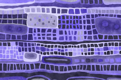 Mural