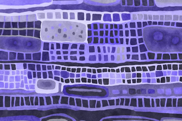 Whimsy Watercolor Shapes Pattern Plum Blue